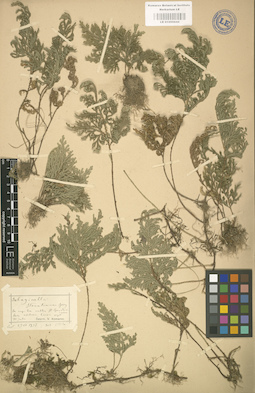 LE 01000644