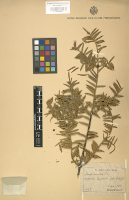 LE 01000661