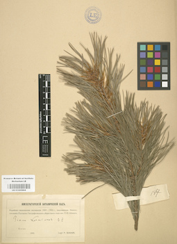LE 01000684