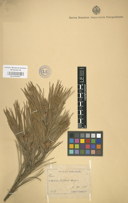 LE 01000687
