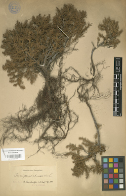 LE 01000706