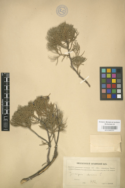 LE 01000707