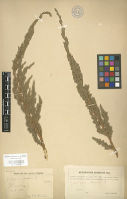 LE 01000712