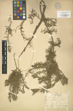 LE 01000723
