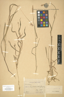 LE 01000728