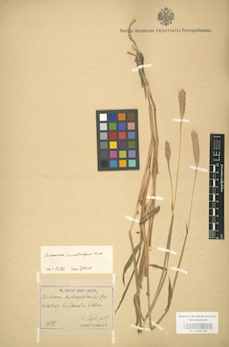 LE 01000730