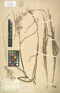 LE 01000761