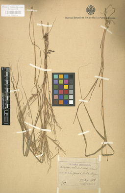 LE 01000764