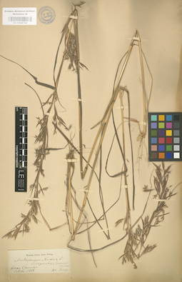 LE 01000766