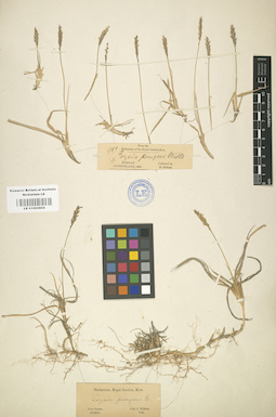 LE 01000804
