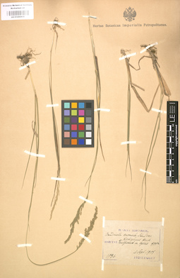 LE 01000808