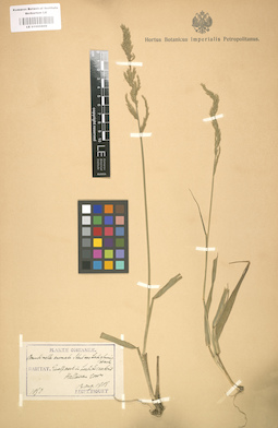 LE 01000809