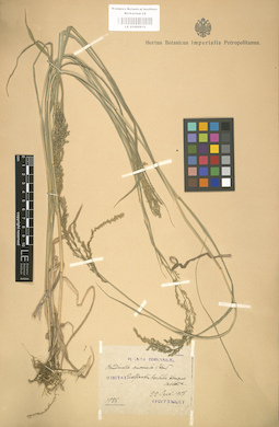 LE 01000810