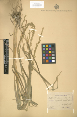 LE 01000811