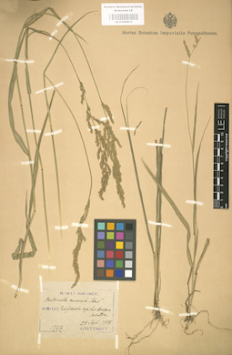 LE 01000812