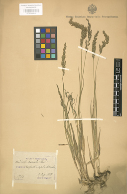 LE 01000815