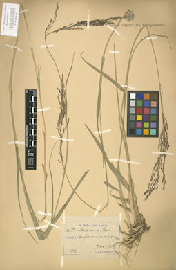 LE 01000816