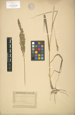 LE 01000817