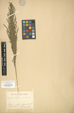 LE 01000819