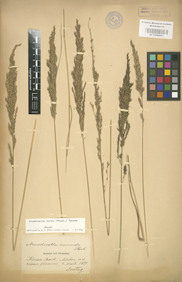 LE 01000823