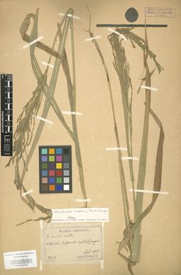 LE 01000825