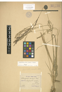 LE 01000827