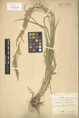 LE 01000828