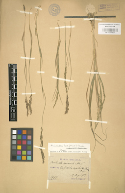LE 01000829