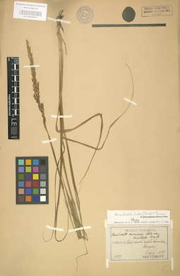 LE 01000830