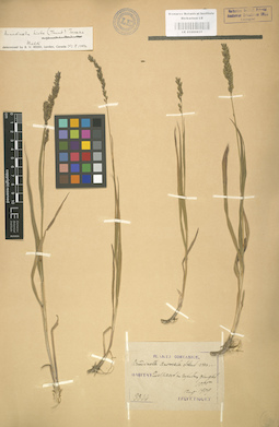 LE 01000831