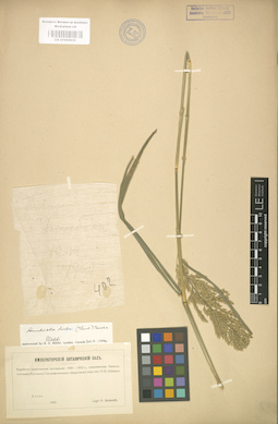 LE 01000832