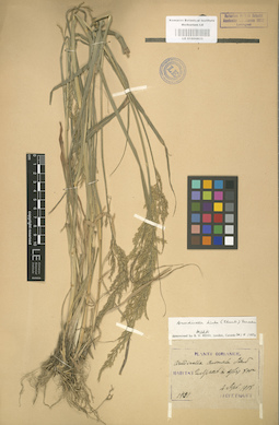 LE 01000833