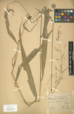 LE 01000834
