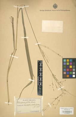 LE 01000835