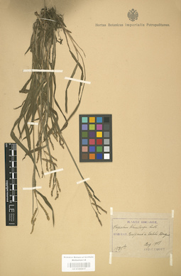 LE 01000837