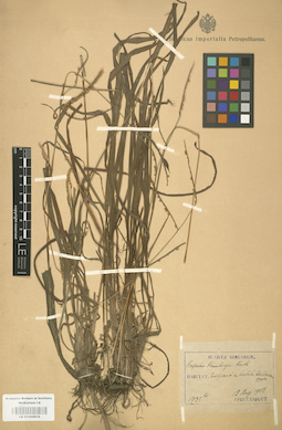 LE 01000838