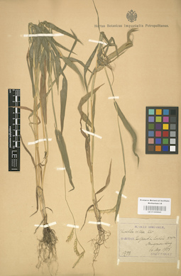 LE 01000841