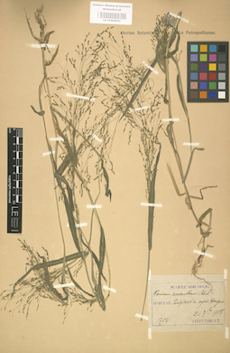 LE 01000854