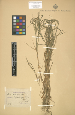 LE 01000856