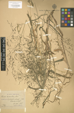 LE 01000857