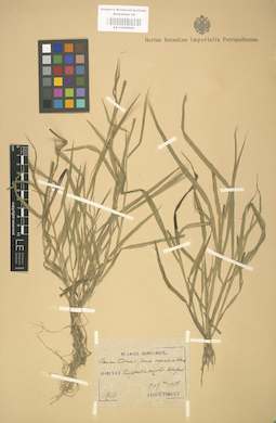 LE 01000860