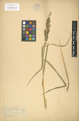 LE 01000864
