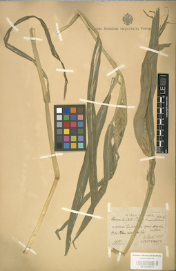 LE 01000872