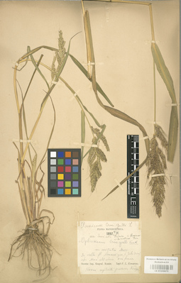 LE 01000875