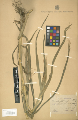 LE 01000876