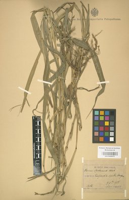 LE 01000879