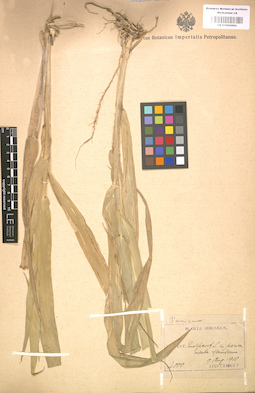 LE 01000880
