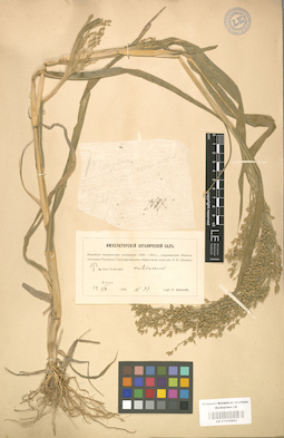 LE 01000881