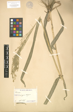 LE 01000882