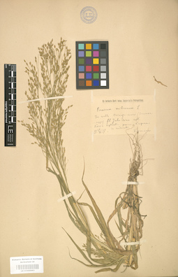 LE 01000883